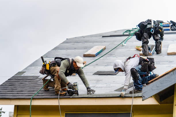 Professional Roofing technician working in New Paris, IN